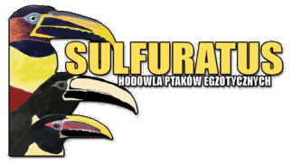 Hodowla Ptaków Egzotycznych Sulfuratus